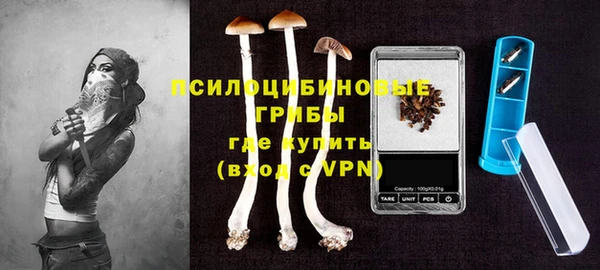 мяу мяу мука Медвежьегорск