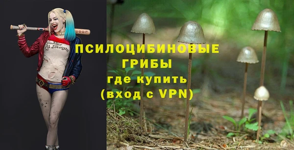 PSILOCYBIN Медногорск